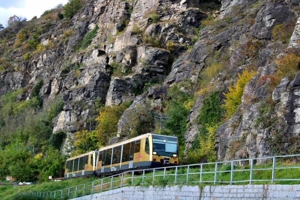 Haus-Donau In Der Wachau Daire Aggsbach Dış mekan fotoğraf