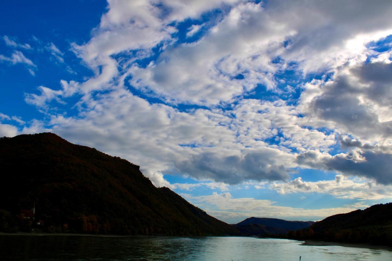Haus-Donau In Der Wachau Daire Aggsbach Dış mekan fotoğraf