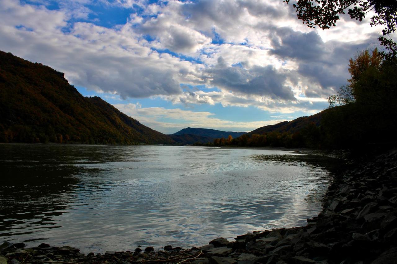 Haus-Donau In Der Wachau Daire Aggsbach Dış mekan fotoğraf