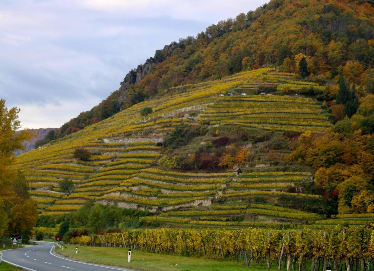 Haus-Donau In Der Wachau Daire Aggsbach Dış mekan fotoğraf