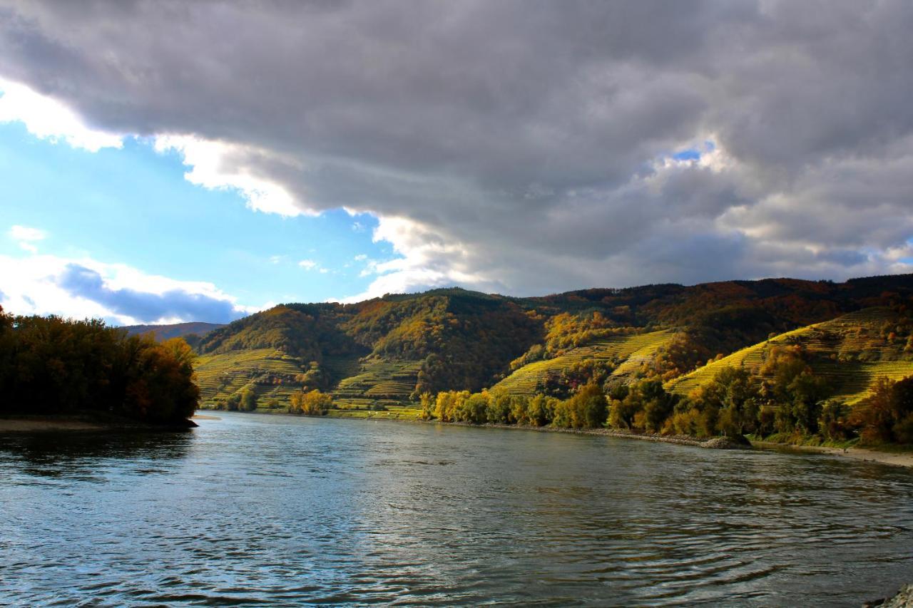 Haus-Donau In Der Wachau Daire Aggsbach Dış mekan fotoğraf