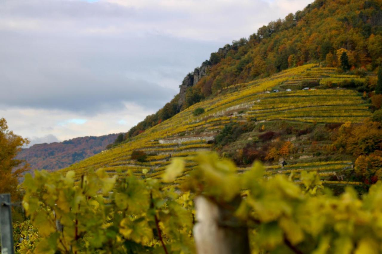 Haus-Donau In Der Wachau Daire Aggsbach Dış mekan fotoğraf
