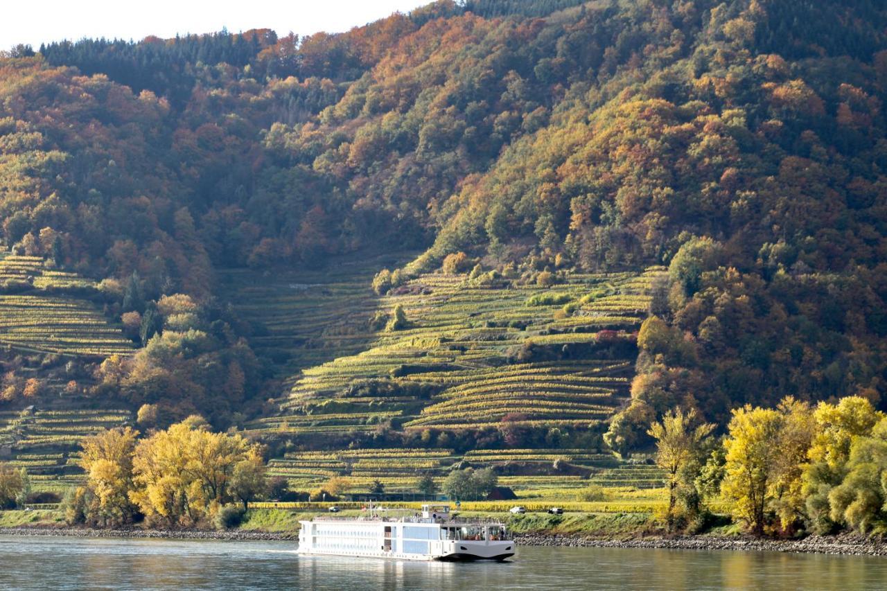 Haus-Donau In Der Wachau Daire Aggsbach Dış mekan fotoğraf