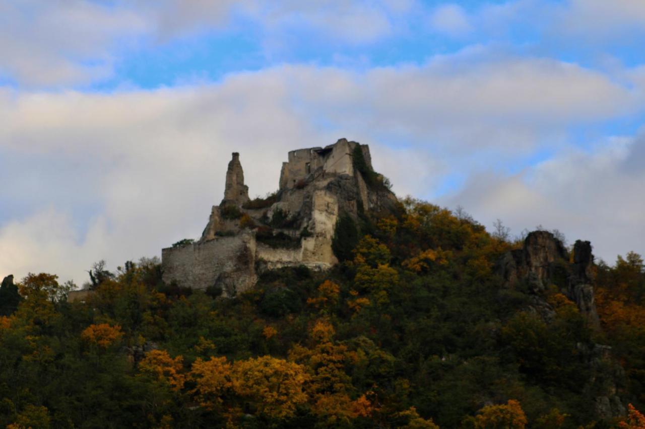 Haus-Donau In Der Wachau Daire Aggsbach Dış mekan fotoğraf