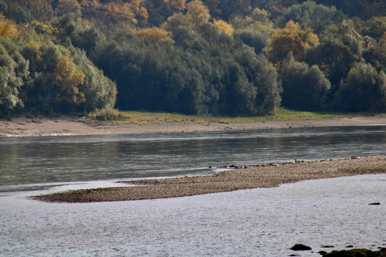 Haus-Donau In Der Wachau Daire Aggsbach Dış mekan fotoğraf