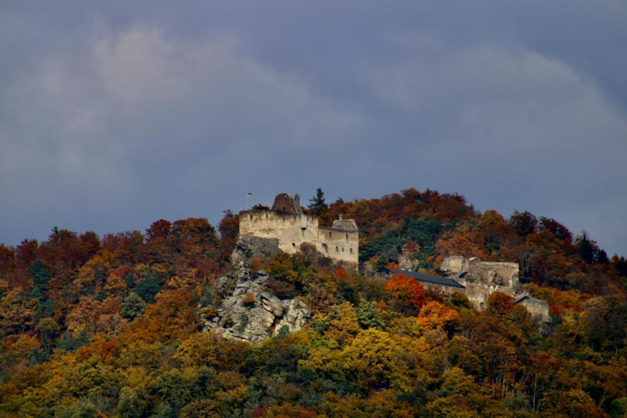 Haus-Donau In Der Wachau Daire Aggsbach Dış mekan fotoğraf