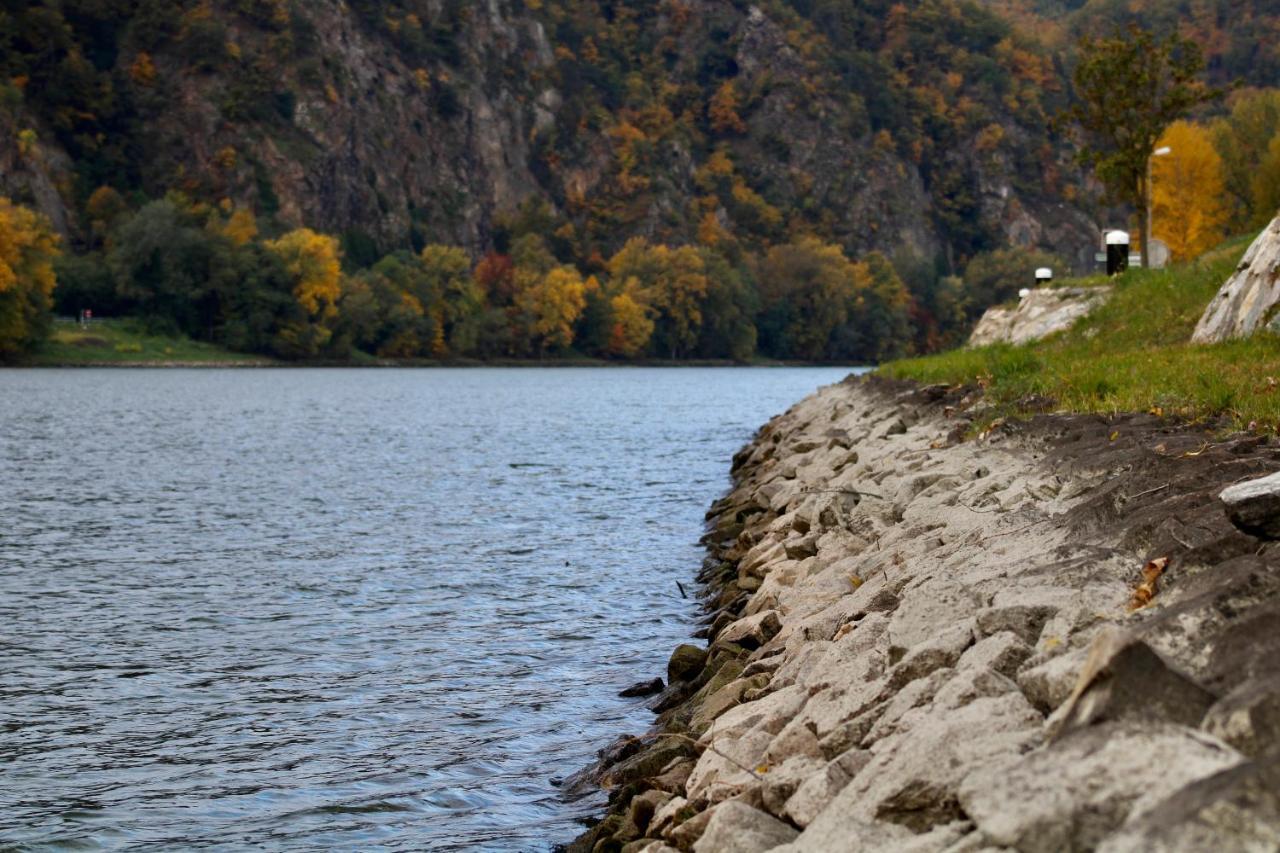 Haus-Donau In Der Wachau Daire Aggsbach Dış mekan fotoğraf